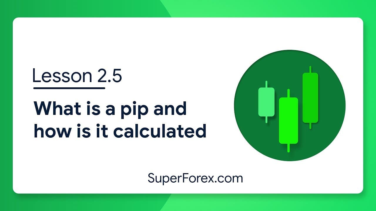 What is a pip and how is it calculated?